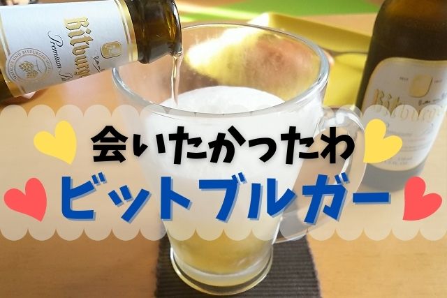 ビール通販で『かつて愛した』ビットブルガーと再会レビュー